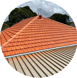 Roof Maintenance
